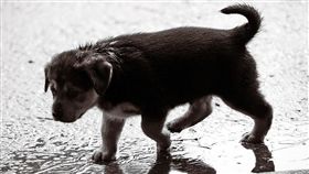 -雨天-下雨-氣象-天氣-鋒面-（圖／pixabay）