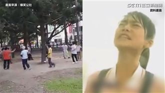 公園上演紫禁之巔！網：樹妖在劫難逃