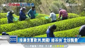 美搶喝綠茶1800