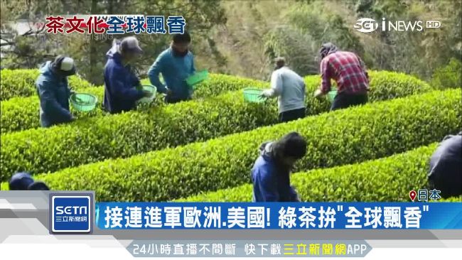 美味又健康！日綠茶外銷創30年新高