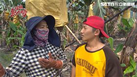 ▲圖／超級紅人榜提供