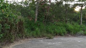 高瞻秘案,叔姪亂倫,殺人