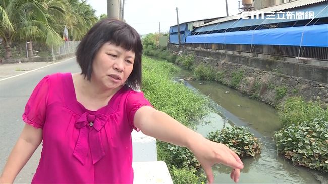 槓上藍議員　蔣月惠議會失控被請出場