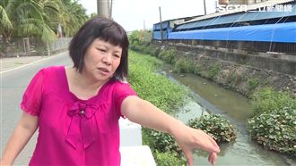 槓上藍議員　蔣月惠議會失控被請出場