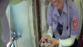 台北,大安區,貓咪,卡牆縫（圖／翻攝畫面）
