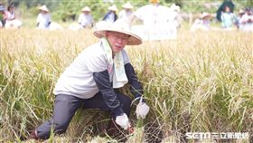 柯文哲 北市府提供