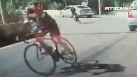 賽照追刮車1200.