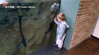 水獺小孩尬速度 可愛到無限播放