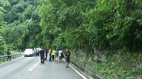 小黑熊跑上省道民眾圍觀　林管處勸離