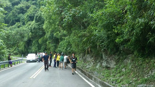 小黑熊出沒民眾打卡　這就是台灣人？