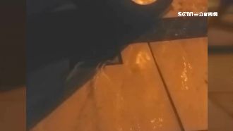 鐵路地下化阻排水？屋內水孔竟冒噴泉