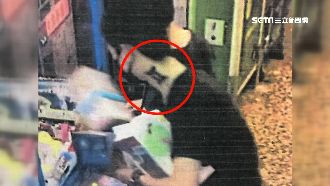 戴口罩敲破娃娃機　賊因雙子刺青遭逮