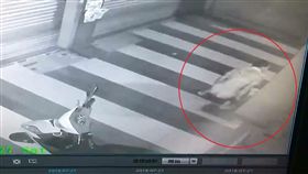 新北,鶯歌,屈臣氏,拉屎,大便,廢棄物清理法（圖／翻攝道地鶯歌人 ）