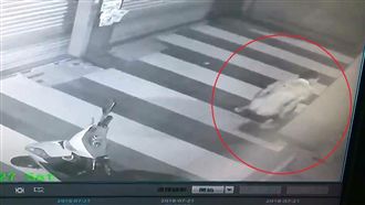 美妝店門口亂撇條　男子光屁股全都錄