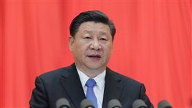 習近平（圖／翻攝自新華網）