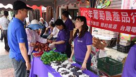 水里鄉黑紫玉葡萄盛產 果肉堅實甜度高