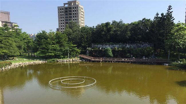 水池飄出異味！豐樂公園緊急清淤修繕