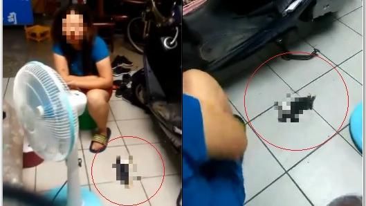 女子殘忍虐死兔子　警方循線上門逮人