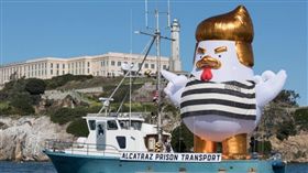 川普,氣球,小雞,監獄,美國,總統,抗議,政策,GoFundMe,幕資　圖／翻攝自推特　https://goo.gl/E1GFJr