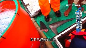 (深一度)直擊賣魚翅