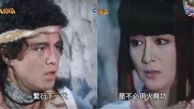 浴火鳳凰,潘迎紫,血鳳凰,亦植村,火鳥功,約炮,騙炮,童年,8點檔　圖／翻攝自YouTube https://goo.gl/4Phw8c