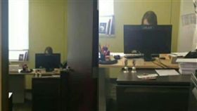 全勤,OL,辦公室,扮工室,頭像（圖/翻攝自爆廢公社）