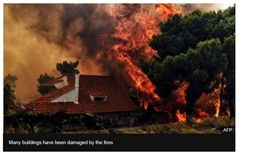 野火襲擊希臘　雅典度假勝地成煉獄
希臘,雅典,Mati,野火,森林大火,Alexis Tsipras
https://www.bbc.com/news/world-europe-44932366