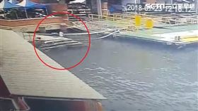 高雄,旗津,渡輪站,釣魚,男童,屍體（圖／翻攝畫面）