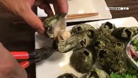 怎吃怪海產1800