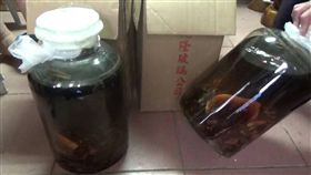 鹿茸酒,嘉義,菸酒管理法(翻攝畫面)