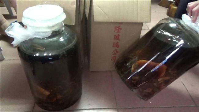 私釀150公升鹿茸酒　業者狂推警方
