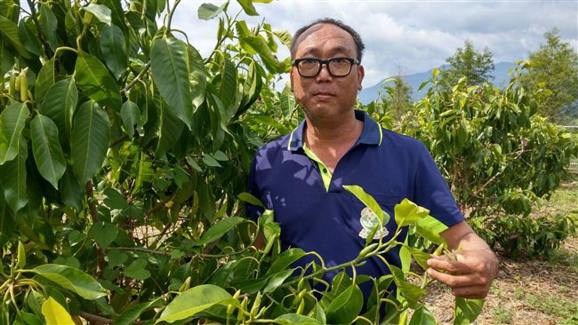 離開原處　張希仁種玉蘭花找回自我