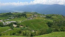 花蓮六十石山花季 邀民眾聆樂品茶賞花