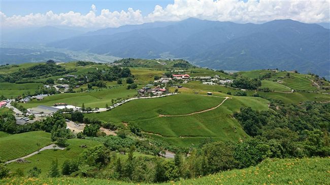 花蓮富里六十石山　花季開跑