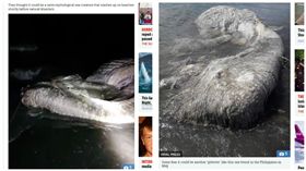 菲律賓民都洛島（Mindoro）驚現海怪屍體（圖／翻攝自太陽報）