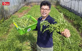 今周刊／名家勿用