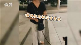 大陸狗主人遛狗沒繫狗繩與路人發生爭執（圖／翻攝自澎湃新聞）
