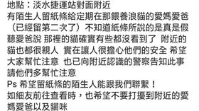 新北市,淡水,捷運站,虐貓,細說淡水,流浪貓