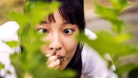 《你的孩子不是你的孩子》大膽王王渝萱與魔鬼交易，慘變成孔雀，吃蟲、吃草、抓青蛙樣樣來 圖/公視提供