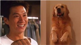 完美情人（圖／翻攝自YouTube）