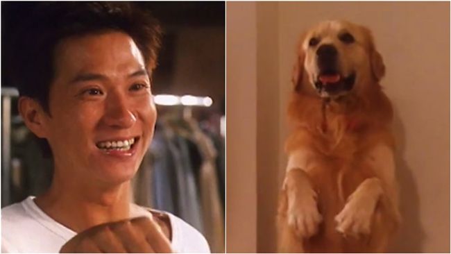 靈魂交換有夠扯？男星竟和狗狗對調了