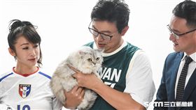 姚文智與黨籍市議員合拍定妝照曬愛貓Togi。 （圖／記者林敬旻攝）