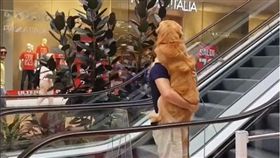 阿金見手扶梯嚇到「攤」　暖爸「救援」抱起2歲兒