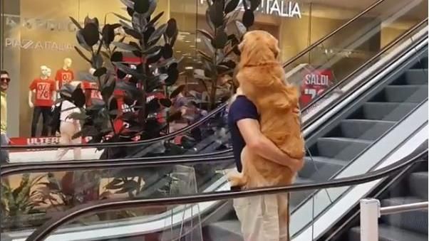 狗狗不敢上手扶梯　暖爸一把抱起超萌