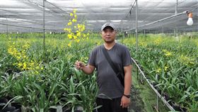 台中花農陳帝緯推廣在地花卉之美／中市府提供