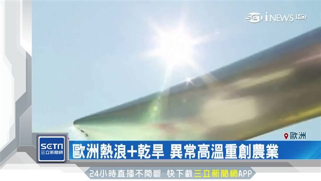 南韓飆破40度　歐洲農地燒成荒原