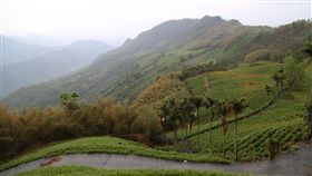 內政部核3900萬  改善花蓮赤科山道路（2）以金針賞花聞名的花蓮玉里鎮赤科山，每年總是吸引數萬遊客到訪，但山路彎曲狹窄，車輛行經險象環生，玉里鎮公所積極申請經費改善。中央社記者李先鳳攝　107年5月3日