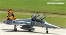 F-5戰機彩繪機，以虎斑為主要設計元素，象徵著台東志航基地所孕育出的小老虎，堅守崗位，捍衛領空。（記者邱榮吉/台東拍攝）