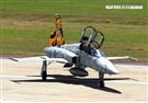 F-5戰機彩繪機，以虎斑為主要設計元素，象徵著台東志航基地所孕育出的小老虎，堅守崗位，捍衛領空。（記者邱榮吉/台東拍攝）