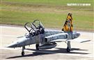 F-5戰機彩繪機，以虎斑為主要設計元素，象徵著台東志航基地所孕育出的小老虎，堅守崗位，捍衛領空。（記者邱榮吉/台東拍攝）